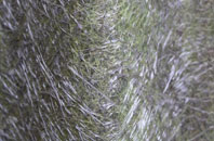 Hounslow West fibreglass roof work